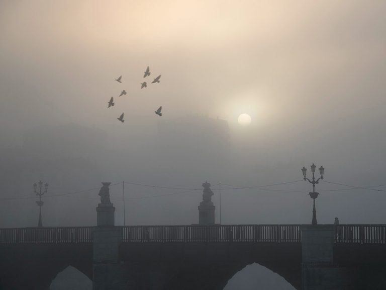 Puente en la niebla con aves volando y el sol apenas visible detrás.