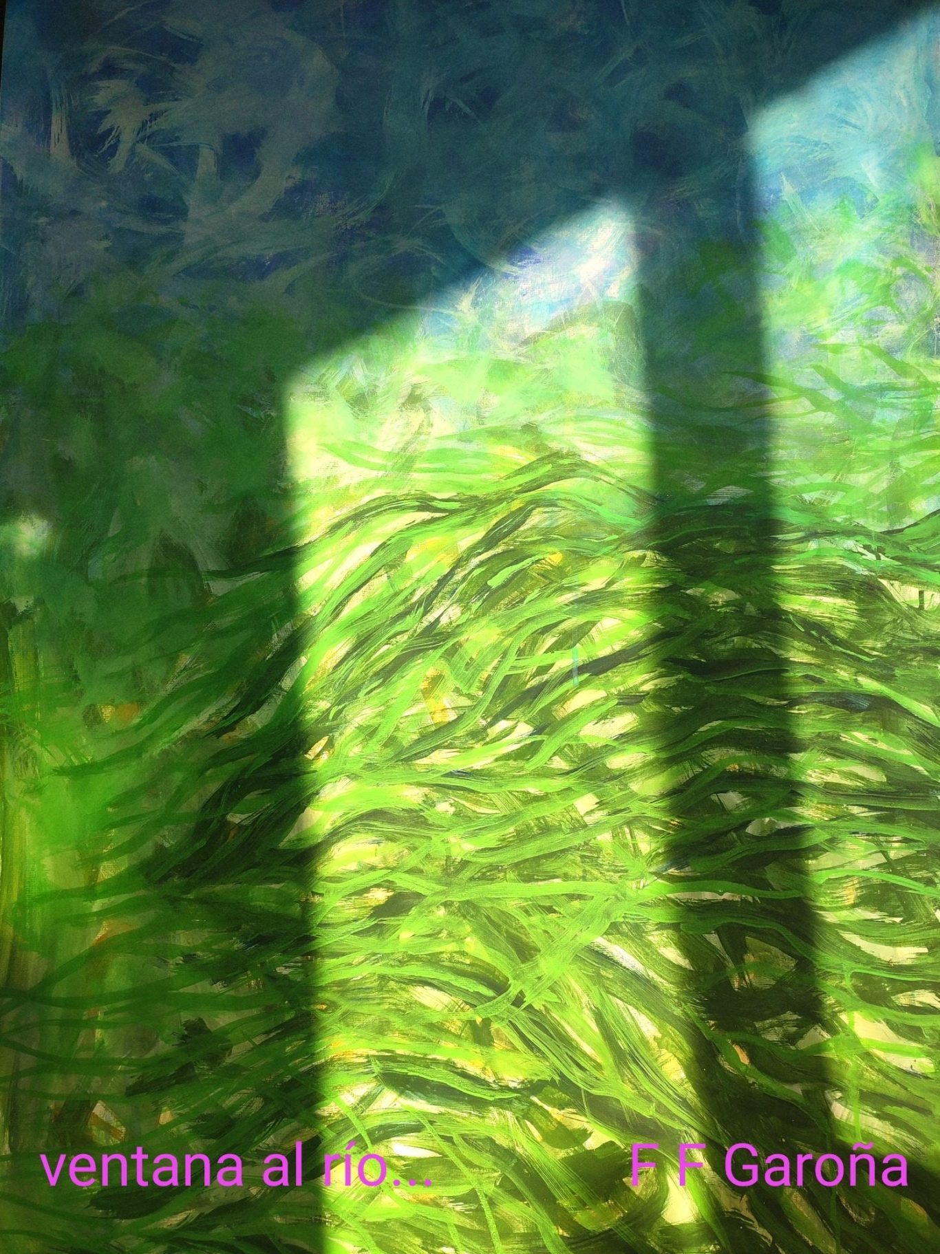 05_Fotos Episodio 05 Reflejos de luz en el agua con vegetación y sombras proyectadas. Título: "ventana al río".
