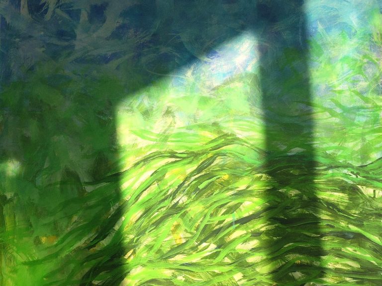 Sombras sobre una superficie verde con luces y texturas de fondo.